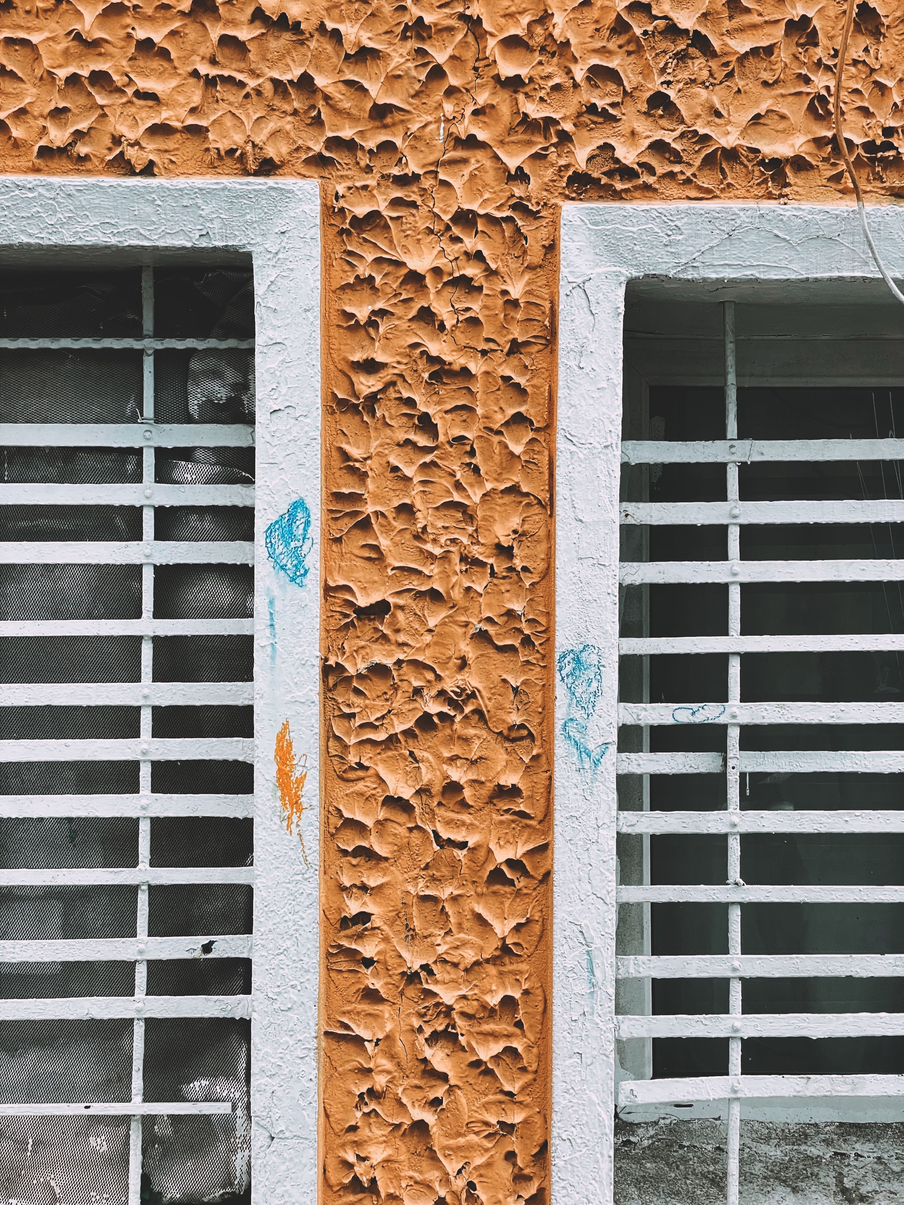 Close-up of a Textured Building Exterior with Windows · Free Stock Photo