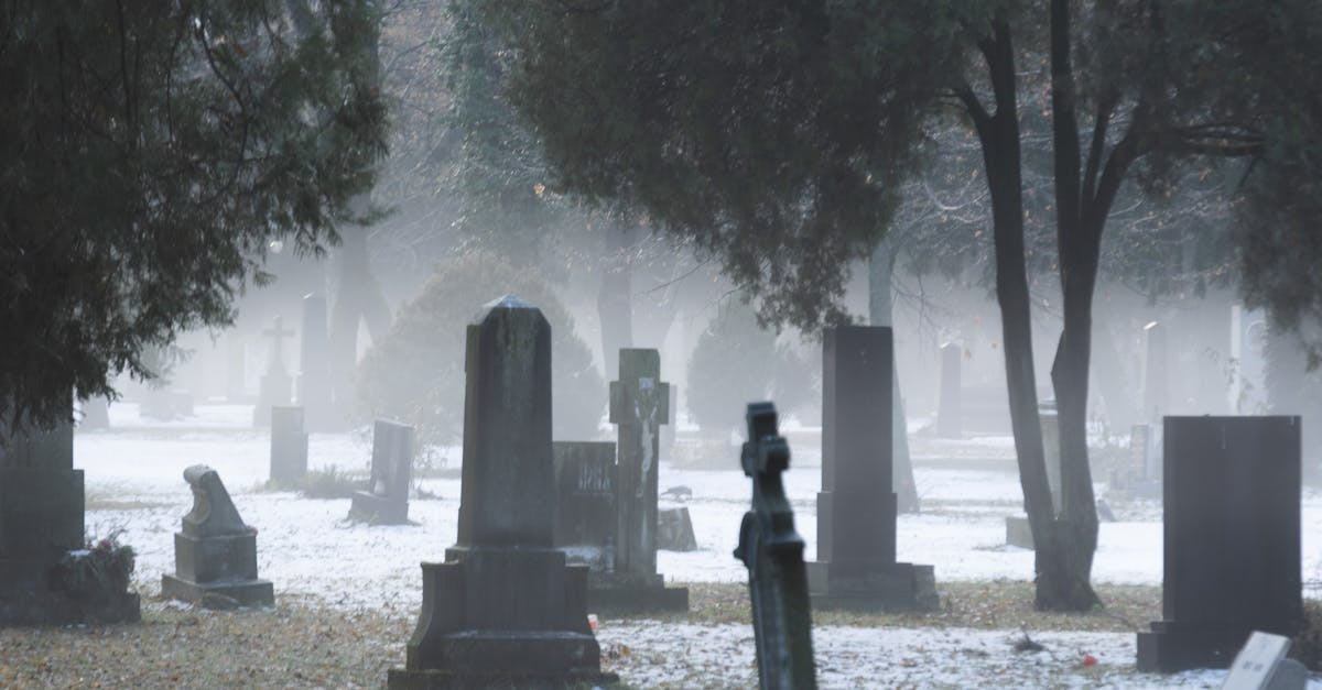 View of a Cemetery in Winter · Free Stock Photo