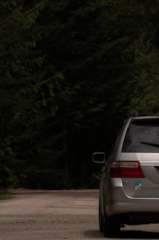 A vehicle travels a forest road surrounded by dense trees, perfect for travel and adventure themes.