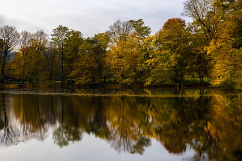 Free Scenic autumn landscape with trees reflecting in a serene park lake. Stock Photo