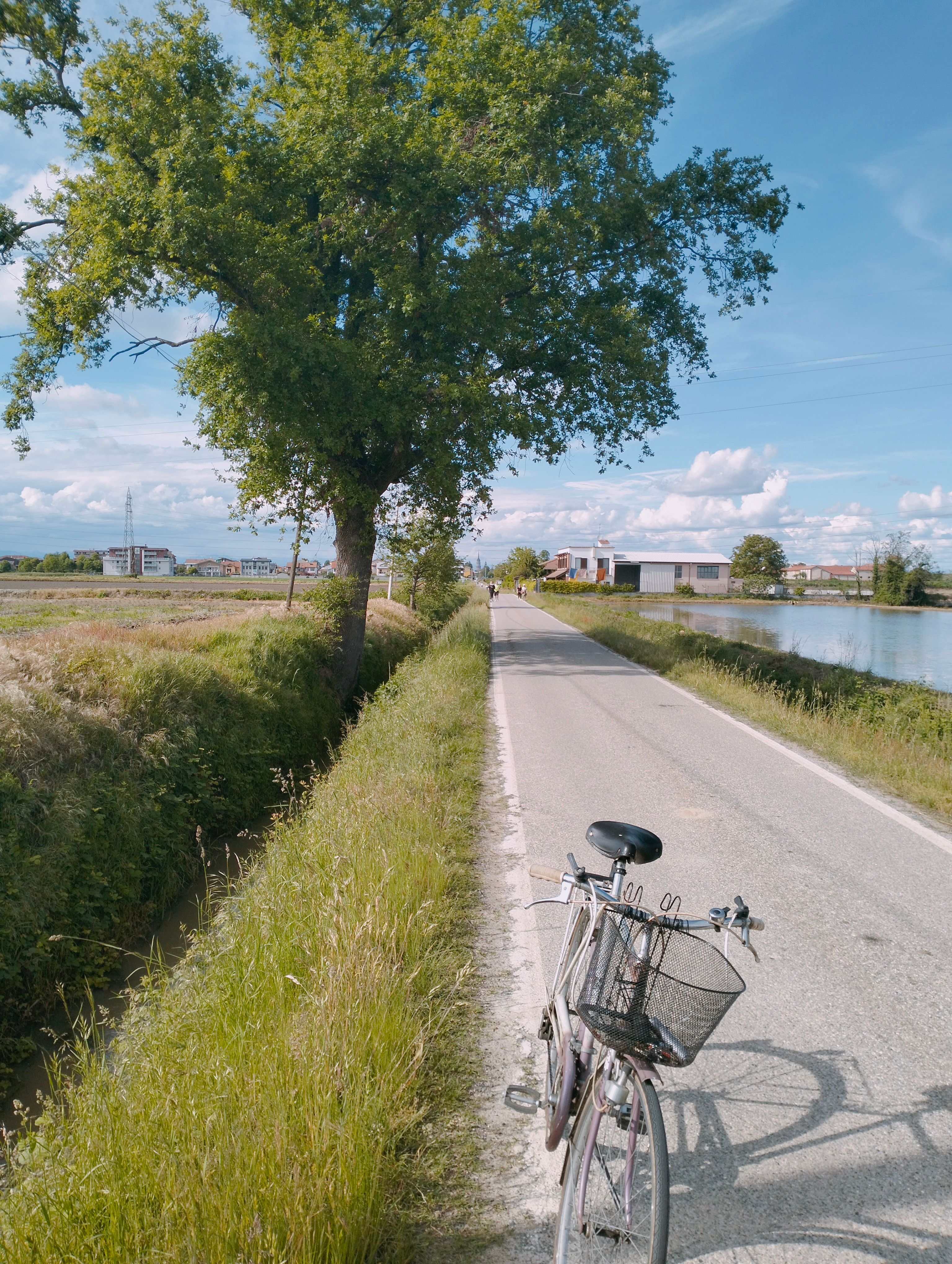 Bicycle on Road in Countryside · Free Stock Photo