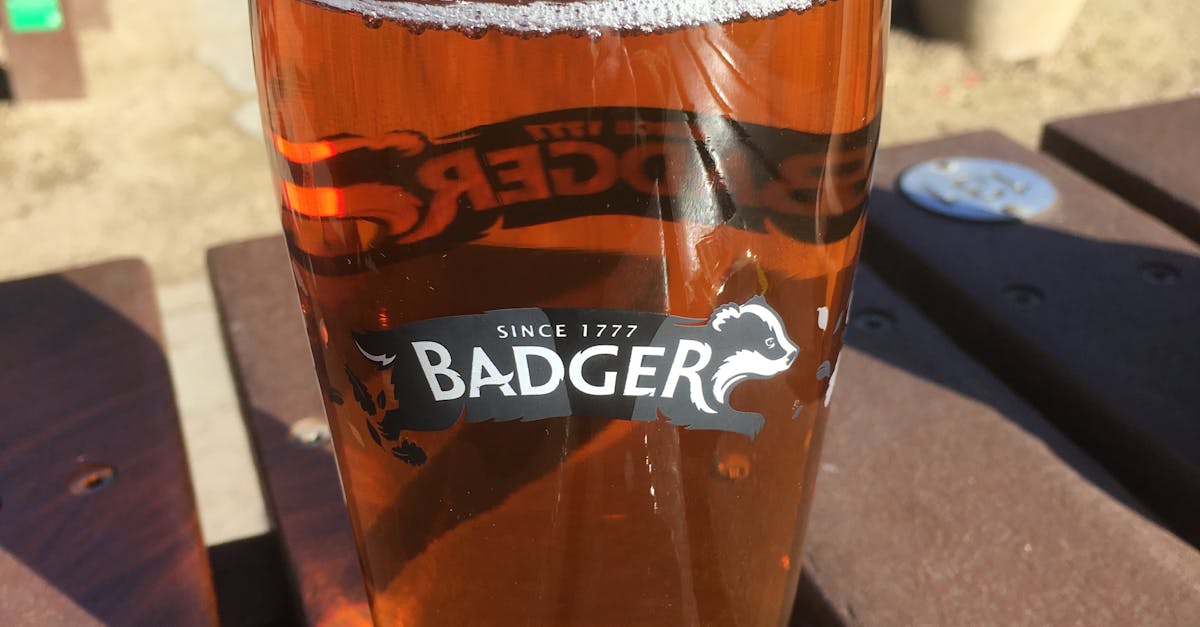 Free stock photo of Badger Beer Pint