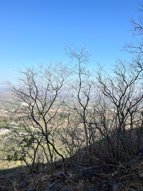 Foto profissional grátis de bela vista da colina, céu azul e colinas, natureza