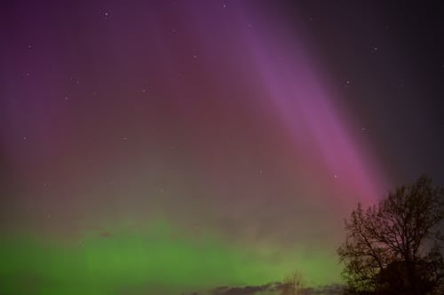 Aurora borealis, doğa, gece içeren Ücretsiz stok fotoğraf