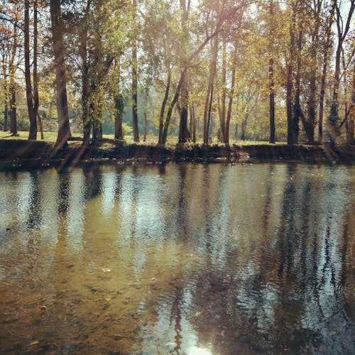 Бесплатное стоковое фото с вода, на открытом воздухе, солнце