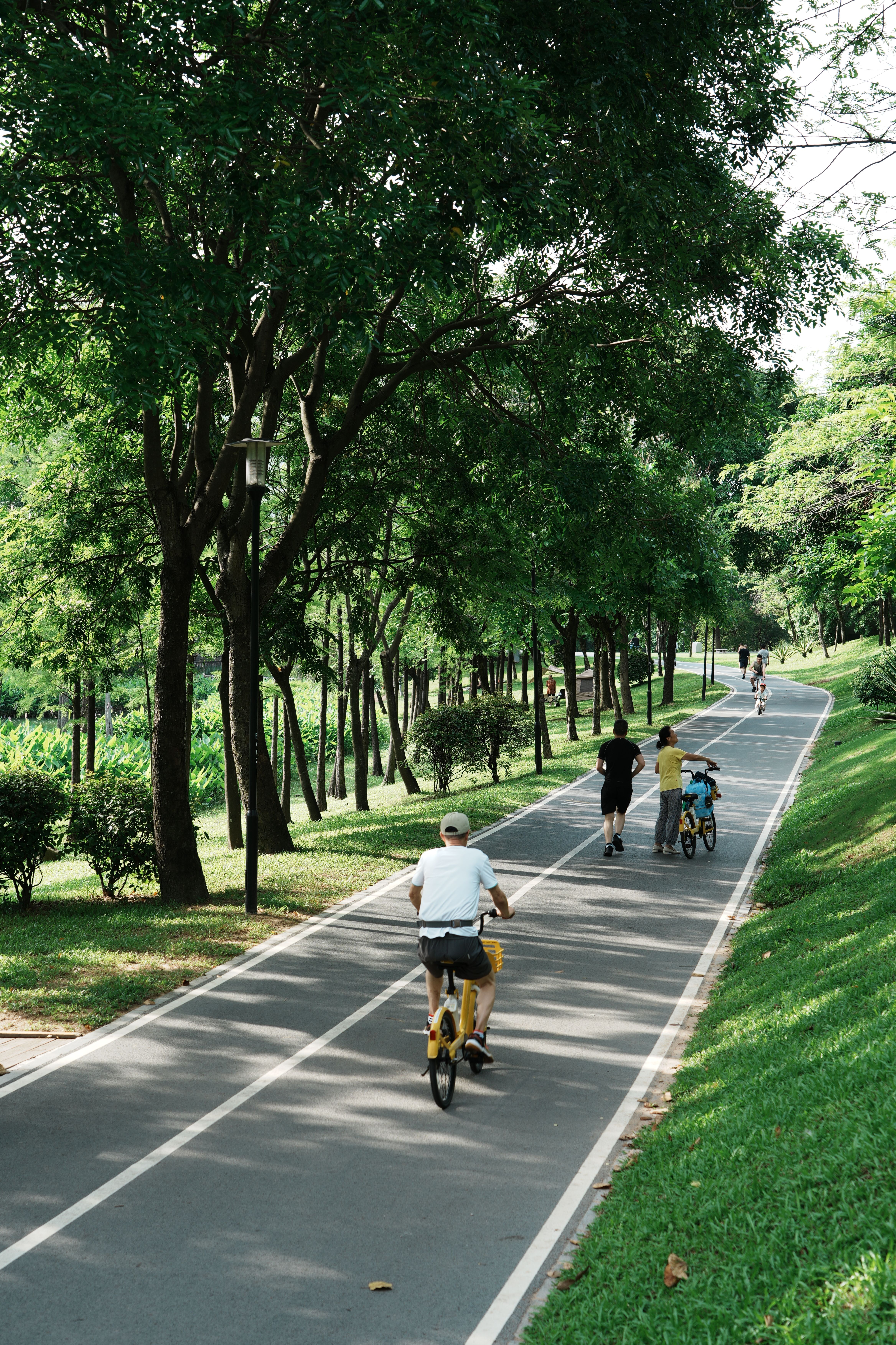 A serene park scene with people cycling and walking on a tree-lined path.
