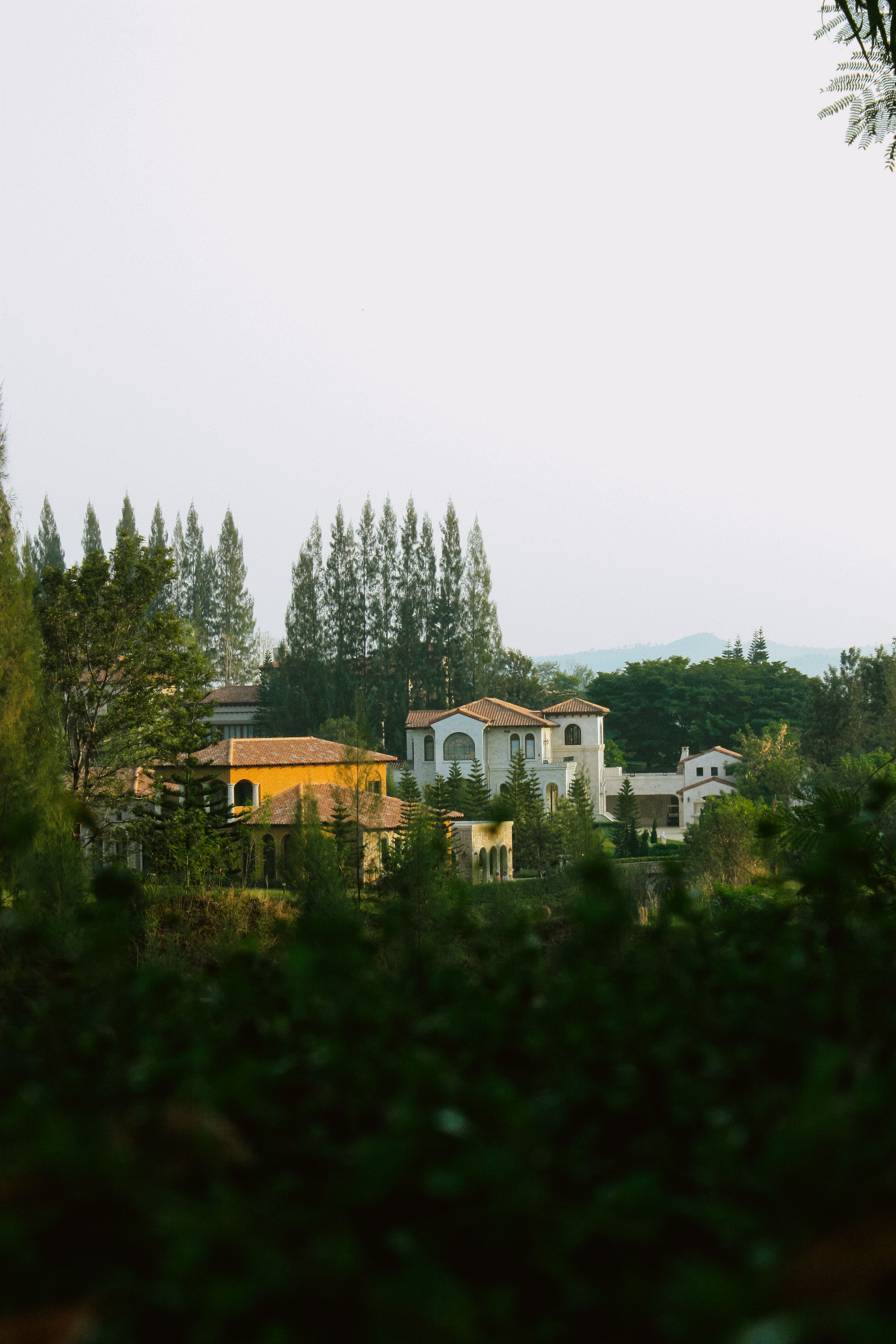Scenic view of luxurious villas amidst greenery, depicting a serene summer residential district.
