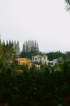 Scenic view of luxurious villas amidst greenery, depicting a serene summer residential district.