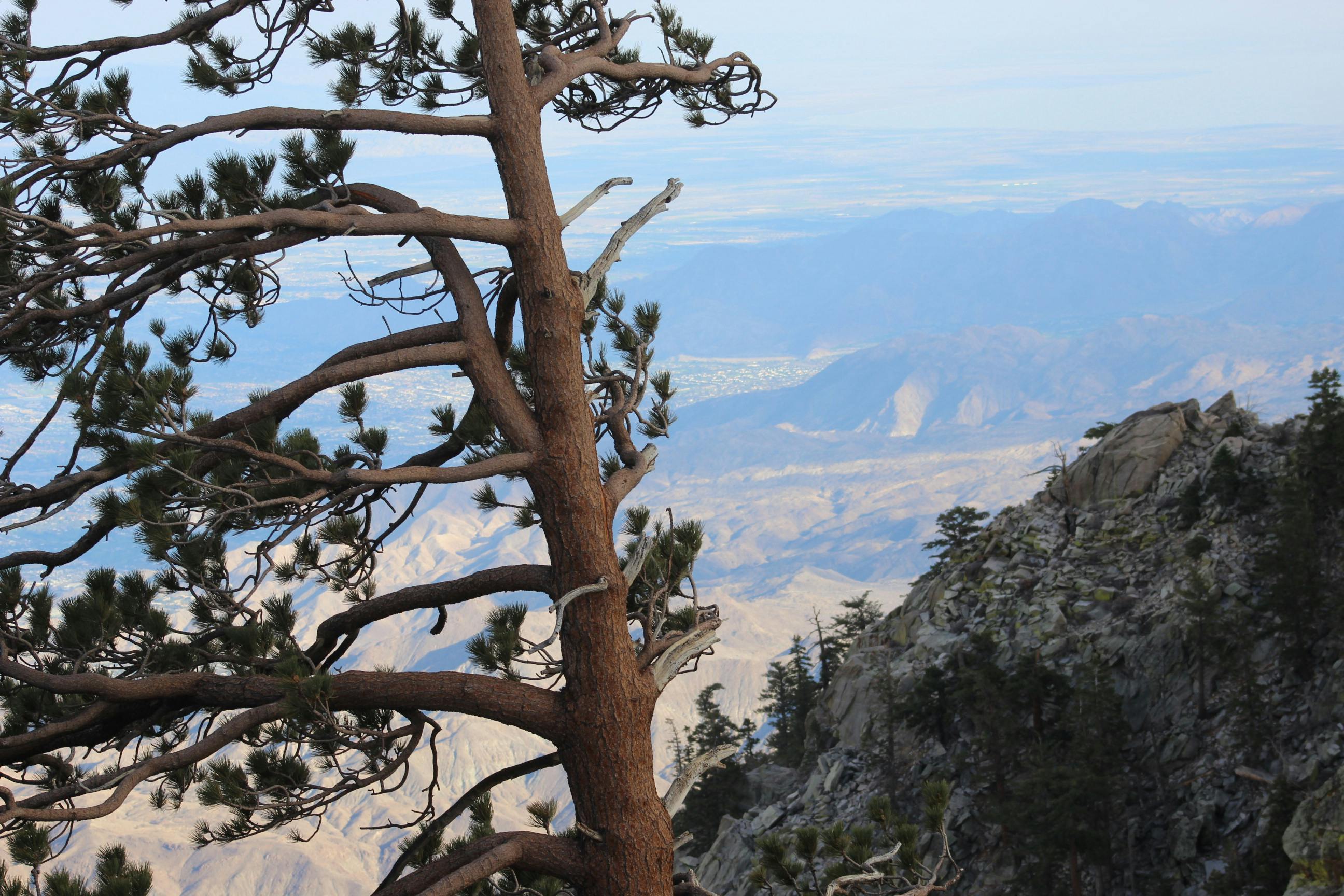 Free stock photo of mountain view, san jacinto mountain