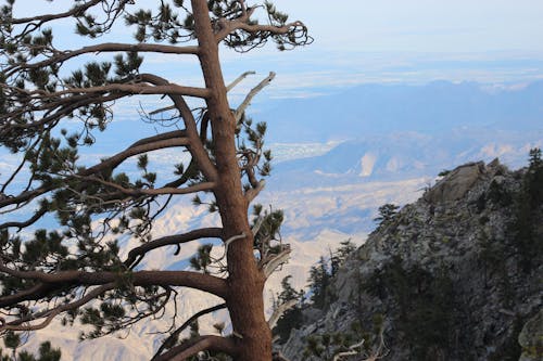 Foto d'estoc gratuïta de muntanya de san jacinto, vista de muntanya