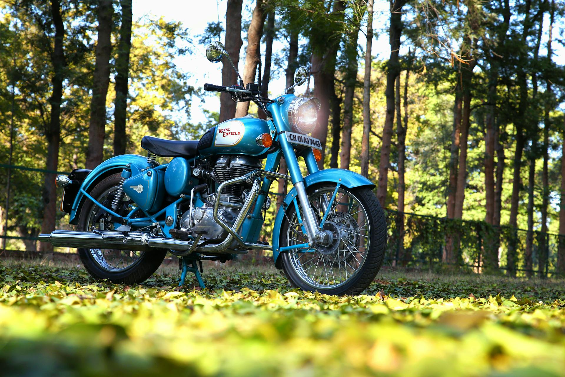 A classic vintage motorcycle parked among tall trees in a sunlit forest.
