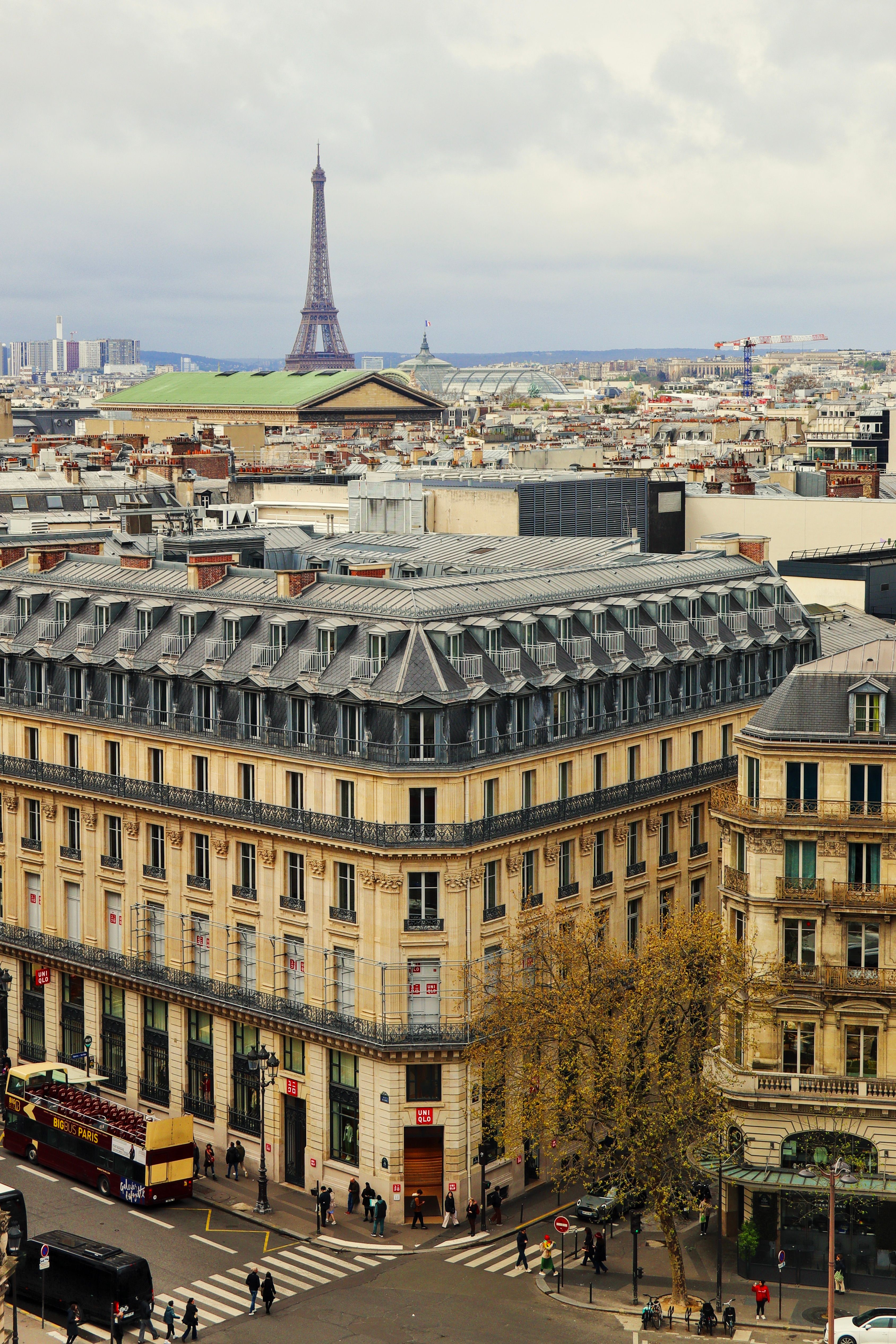 Paris Fashion & Visual Culture (Relaxed 5-Day Loop)