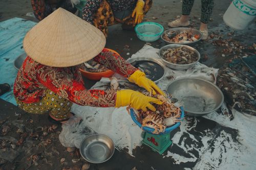 Free A woman in traditional hat and gloves sorts crabs at an outdoor fish market, showcasing local sea life. Stock Photo