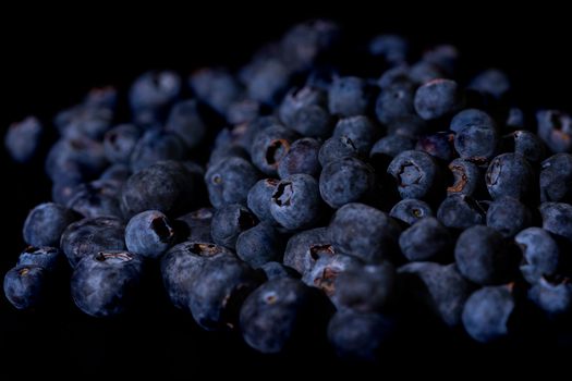 Blueberry Close Up