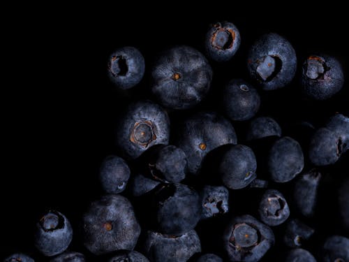 close-up of healthy blueberries
