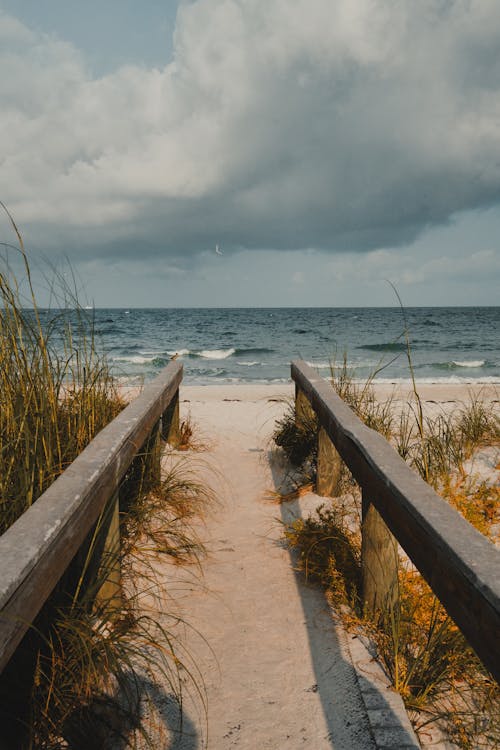 Gratis stockfoto met buiten, dageraad, duin