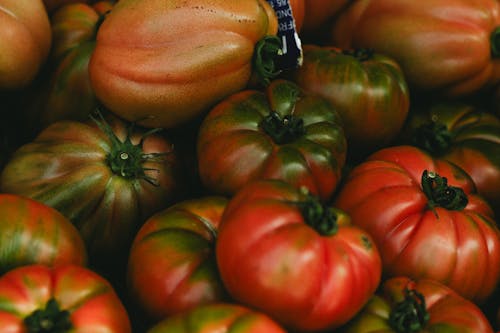 A close up of a bunch of tomatoes