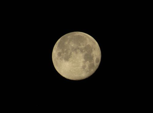 Free A detailed shot of a full moon against the dark night sky. Stock Photo