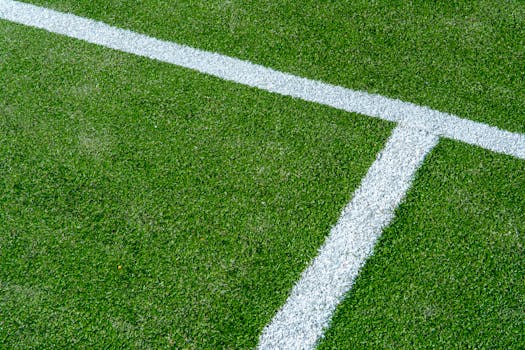 Detailed view of white lines on a green grass tennis court surface.