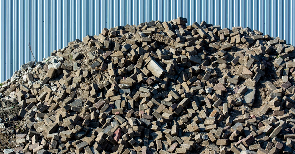 The Cartographers of Echo 1 image text