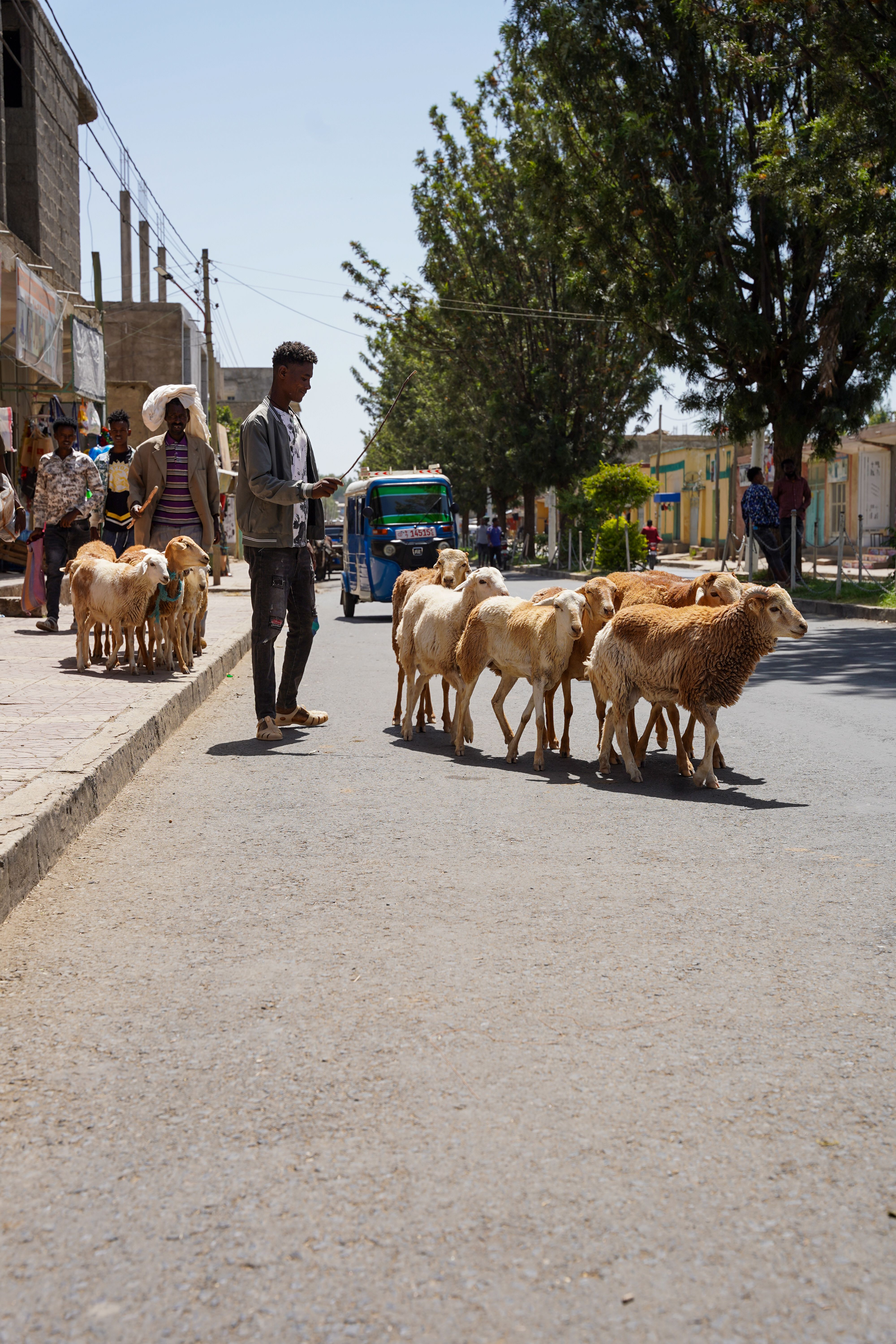 Eritrea: CSR cases strengthening community health and capacity-building