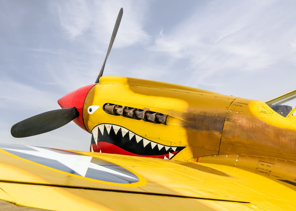 P-40 Warhawk WWII fighter aircraft with shark mouth — V-J Day in Times Square celebrated aviators like these pilots