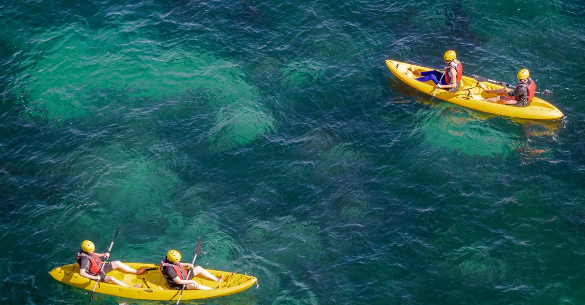 What Does a Week of Kayaking, Birding, and Hiking Do for a Kid? LLELA's Summer Camp Has an Answer