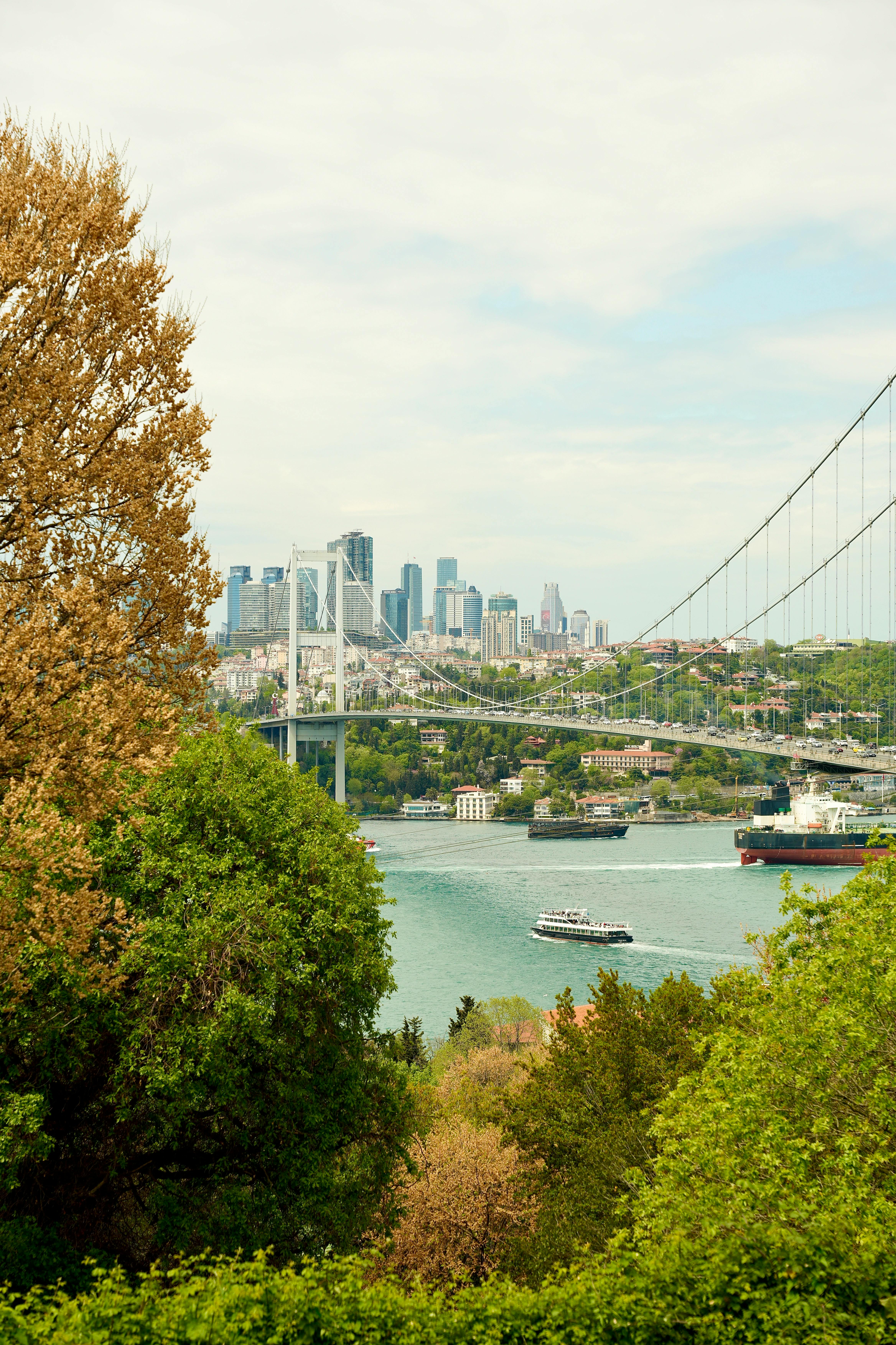 Scenic view of the Fatih Sultan Mehmet Bridge and Istanbul skyline during fall.