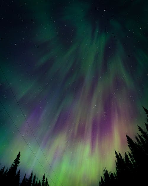 Photos gratuites de arbres, aurore boréale, ciel de nuit