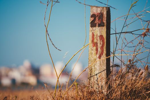 Weathered post with numbers in sunny rural field, blurred background.