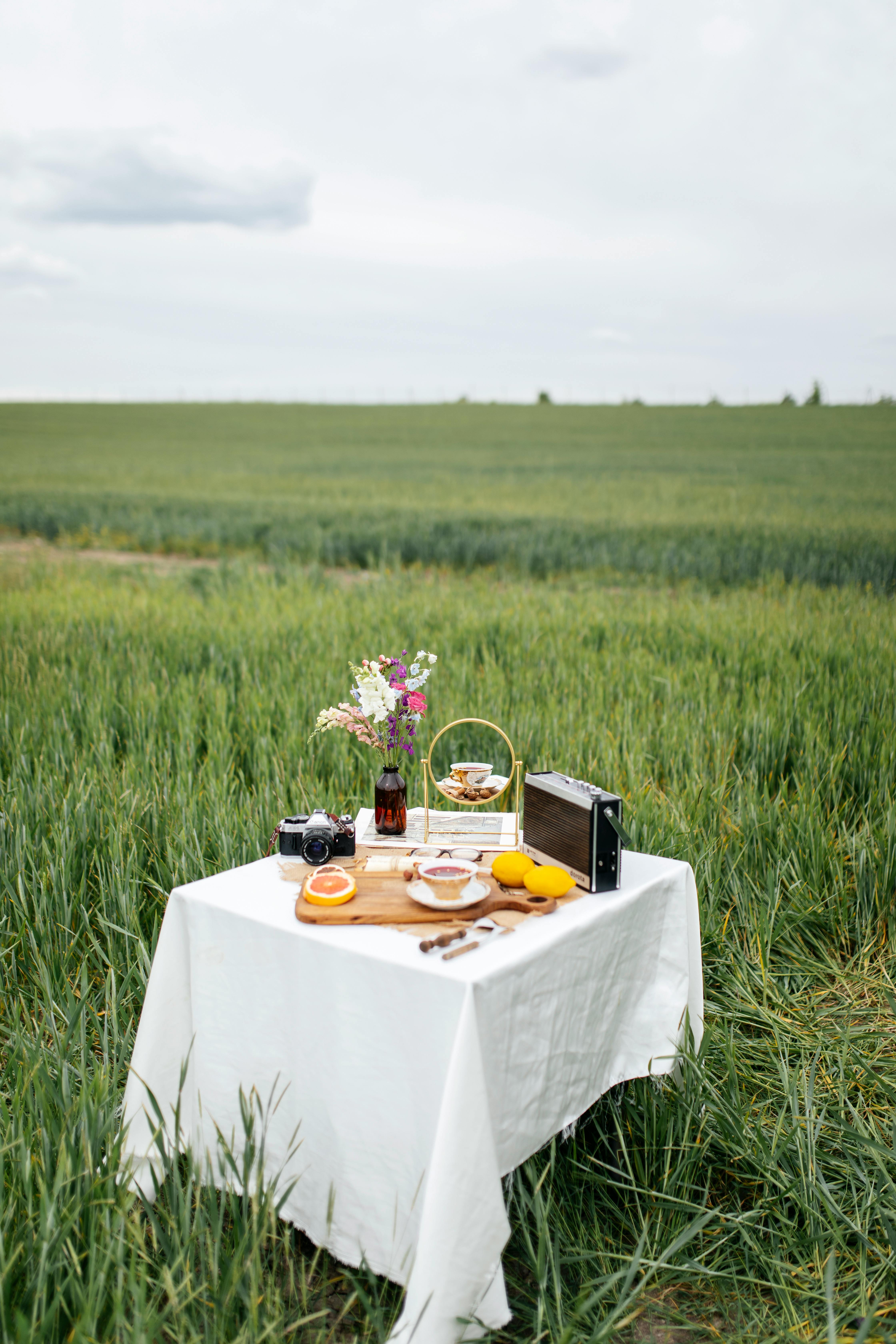 A charming outdoor picnic setup with fruits, a vintage camera, and radio in a lush green field.