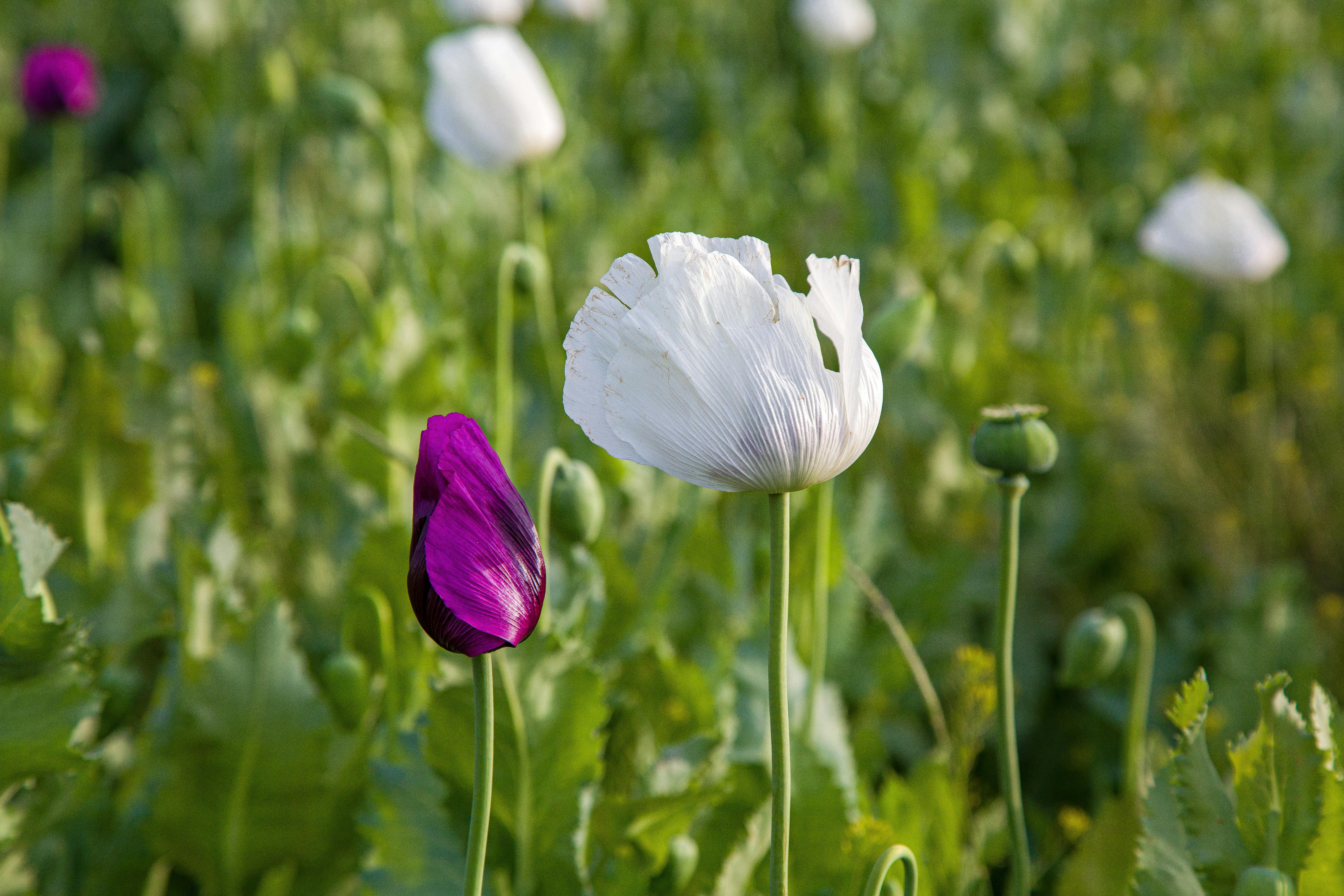 why am i growing so slow on instagram