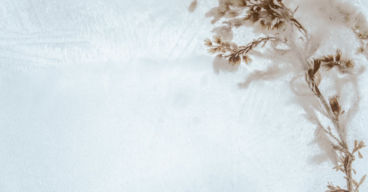 How to make a snowflake frozen
