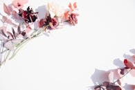 白色背景下，红色和粉红色的花朵以最小单位点缀，完美契合浪漫或婚礼主题