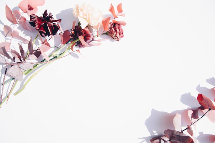 Pink And White Flowers On White Wall