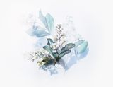 Pale botanical study on white paper, by Evie Shaffer on Pexels