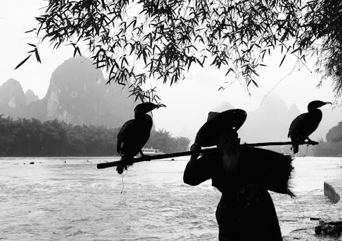 Grayscale Photography of Person Holding Stick With Two Birds Perching on It