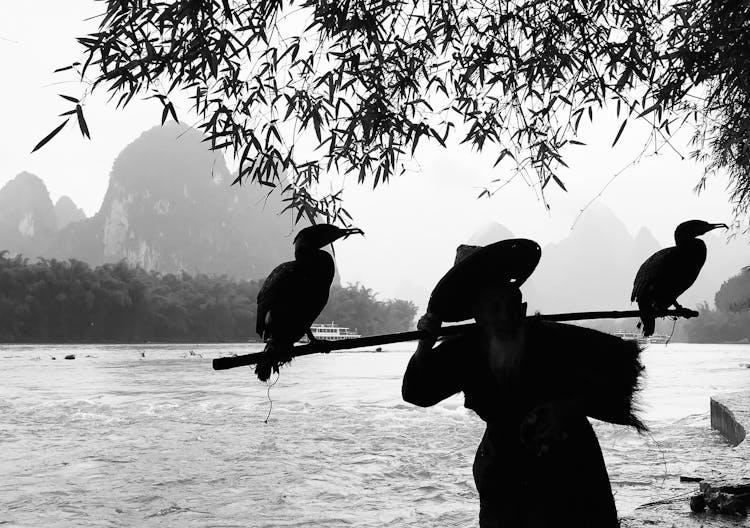 Grayscale Photography Of Person Holding Stick With Two Birds Perching On It