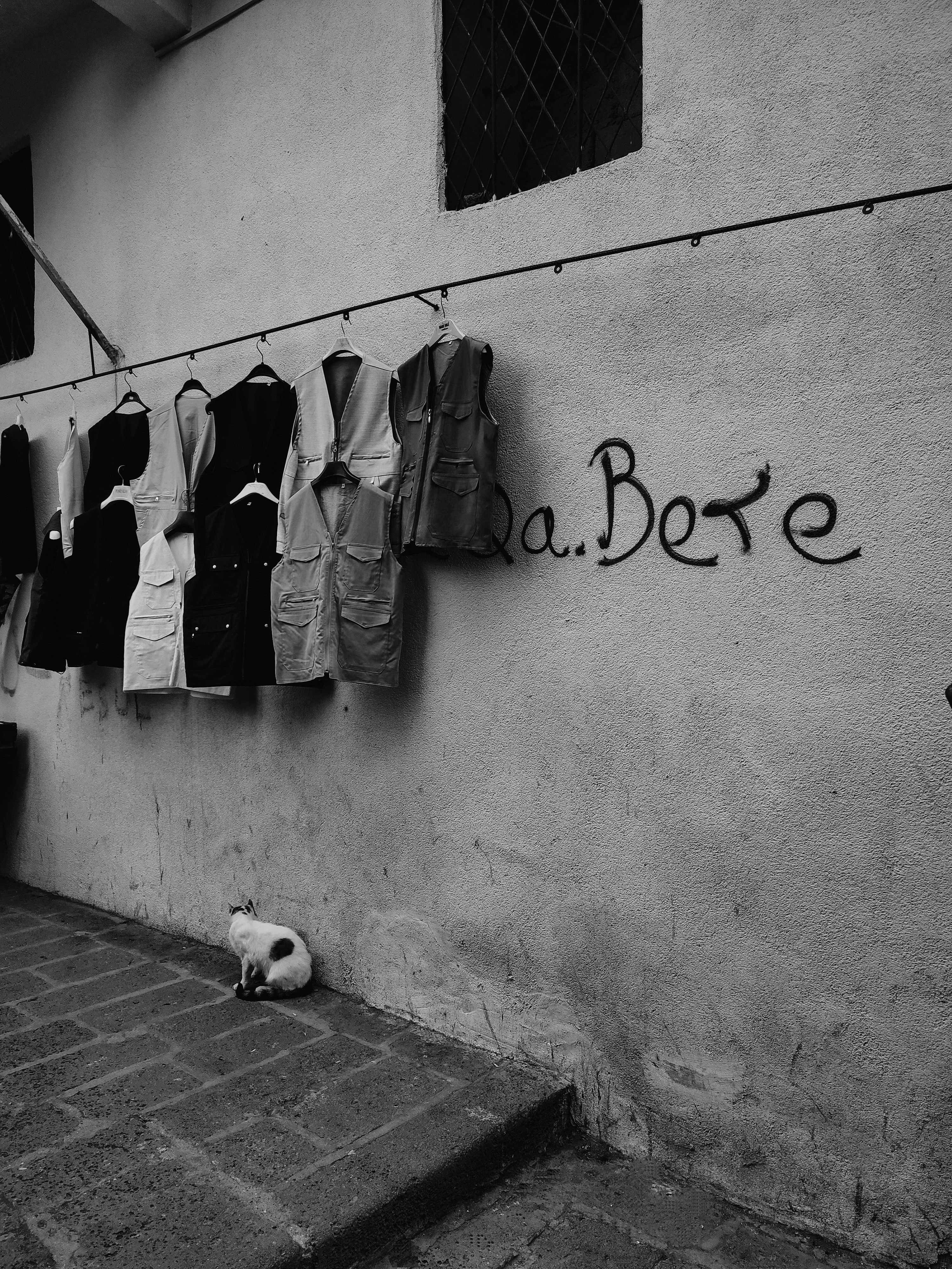 Stylish black and white street scene featuring hanging clothes and a cat on the sidewalk.