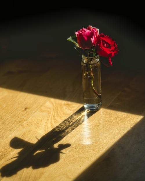 A vase with two roses in it on a table