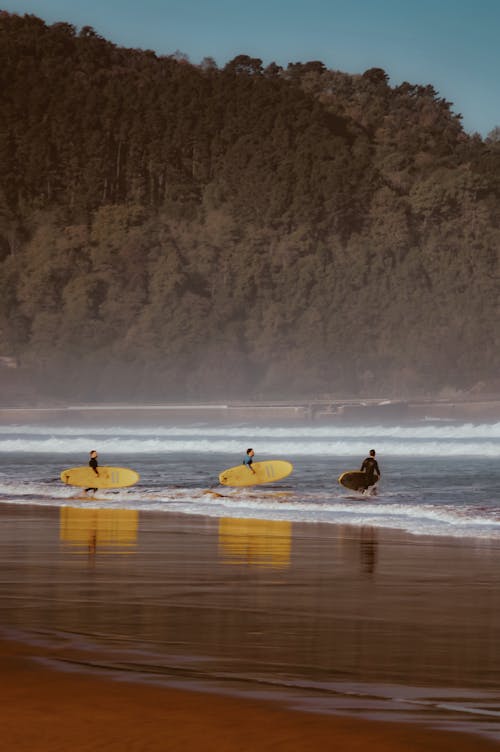 Personnes Tenant Une Planche De Surf