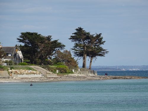 Free Scenic view of a coastal house with trees by the ocean on a sunny day. Stock Photo
