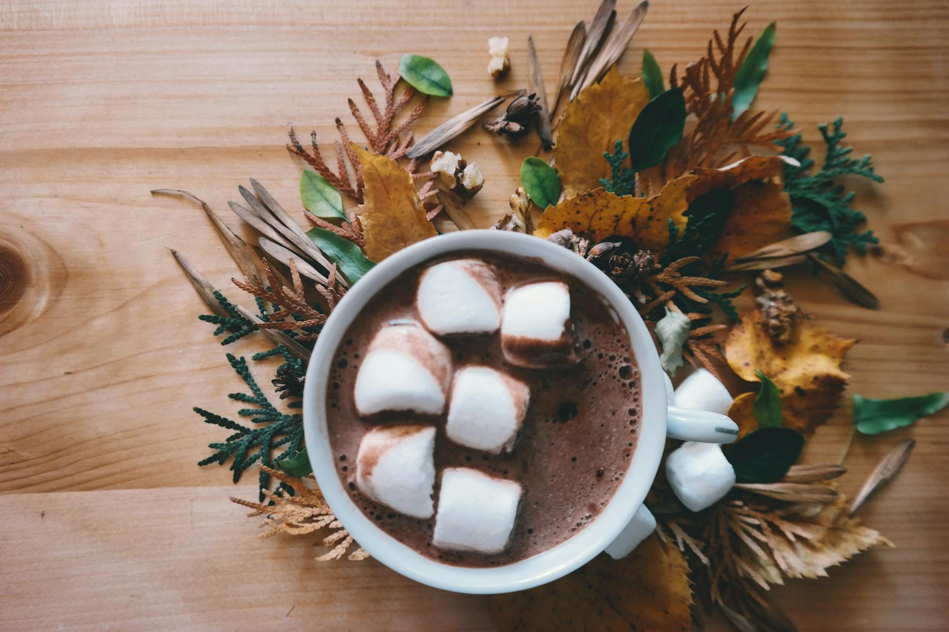 Chocolat dans une tasse