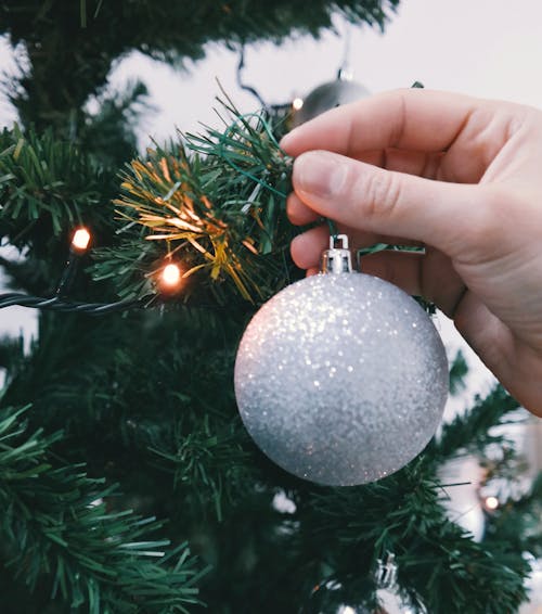 Foto d'estoc gratuïta de arbre de Nadal, avet, bola