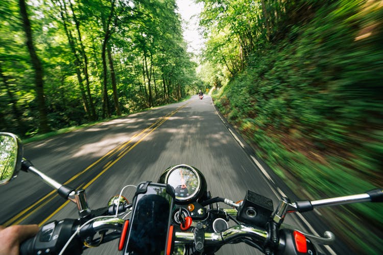 Photo Of Person Riding Motorcycle On Road Between Trees