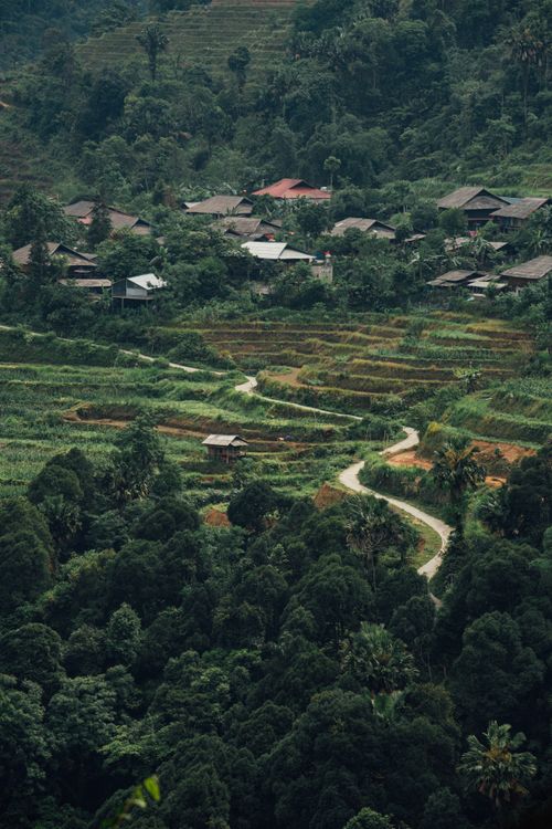 Free A breathtaking aerial view of a lush rural village and terraced fields, surrounded by dense forest. Stock Photo