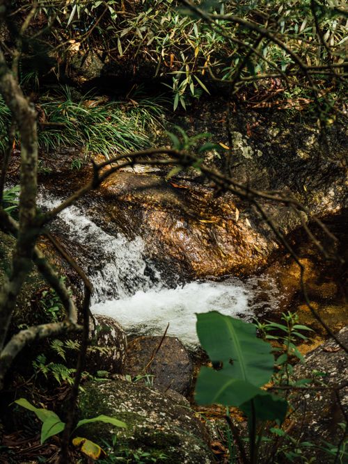 Free Tranquil waterfall surrounded by lush forest and rocks, creating a serene nature scene. Stock Photo