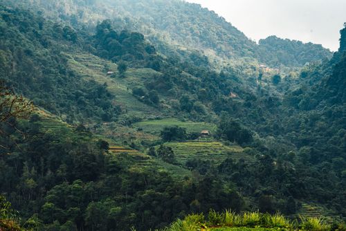 Free Scenic aerial view of terraced forested hills with rich greenery in a rural landscape. Stock Photo