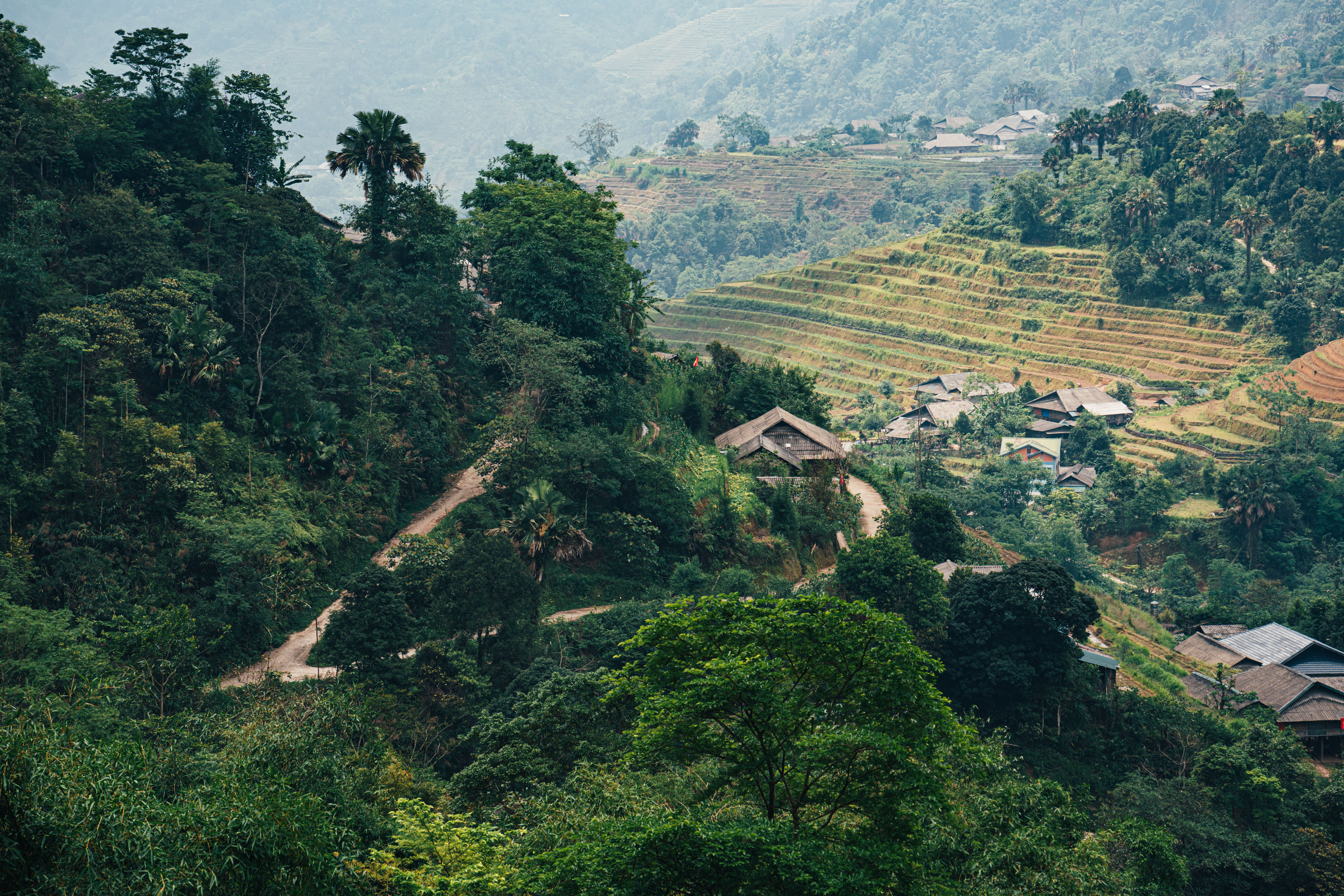 Northern Vietnam Highlights, Culture, and Landscapes