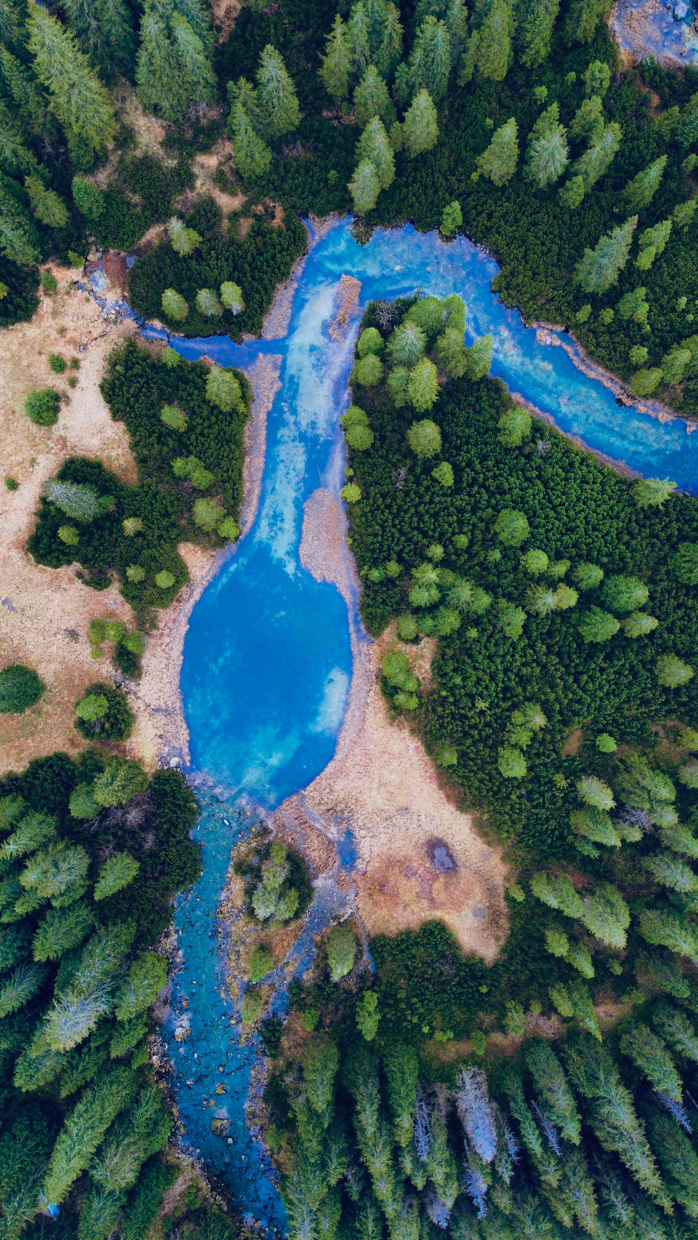 Stunning aerial shot of a vivid blue river winding through a dense, lush green forest, showcasing natural beauty.
